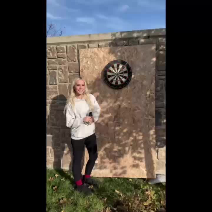 18 Inch Brazilian High Quality Hemp Dart Board With 6 Piece Dart Set, Indoor Professional Round Mesh Premium Sisal Dart Board For Training And Competition